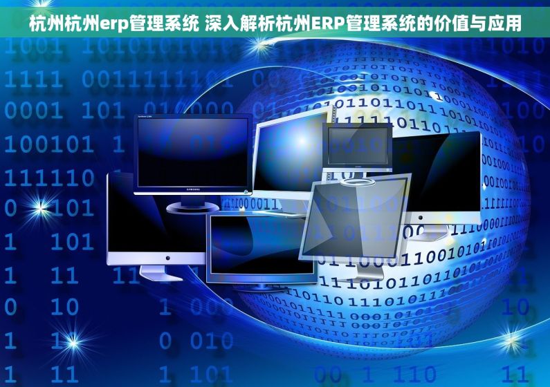 杭州杭州erp管理系统 深入解析杭州ERP管理系统的价值与应用