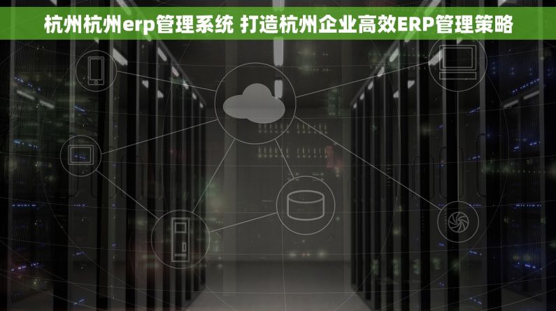 杭州杭州erp管理系统 打造杭州企业高效ERP管理策略