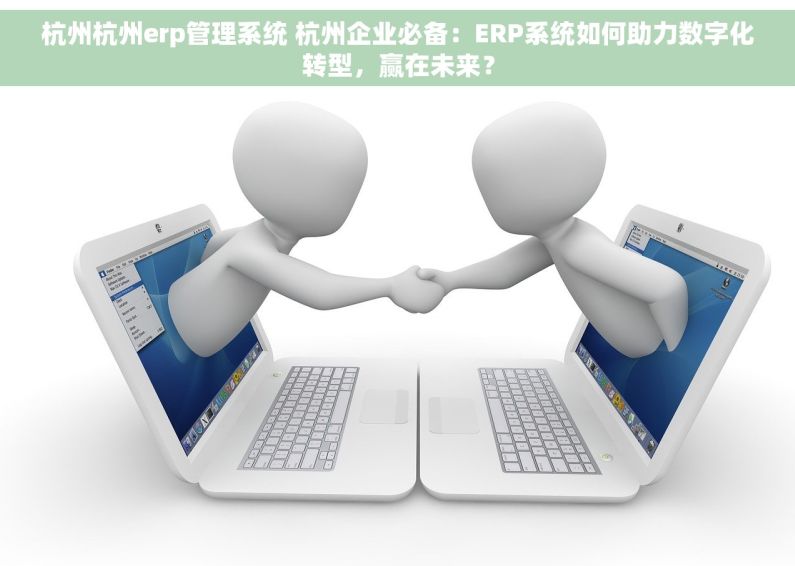 杭州杭州erp管理系统 杭州企业必备：ERP系统如何助力数字化转型，赢在未来？