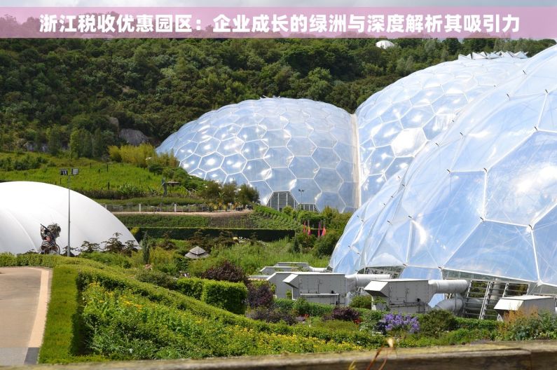 浙江税收优惠园区：企业成长的绿洲与深度解析其吸引力