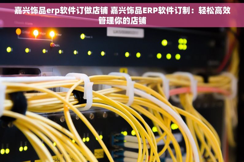 嘉兴饰品erp软件订做店铺 嘉兴饰品ERP软件订制：轻松高效管理你的店铺