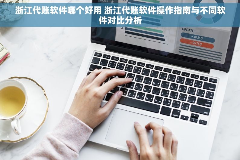 浙江代账软件哪个好用 浙江代账软件操作指南与不同软件对比分析