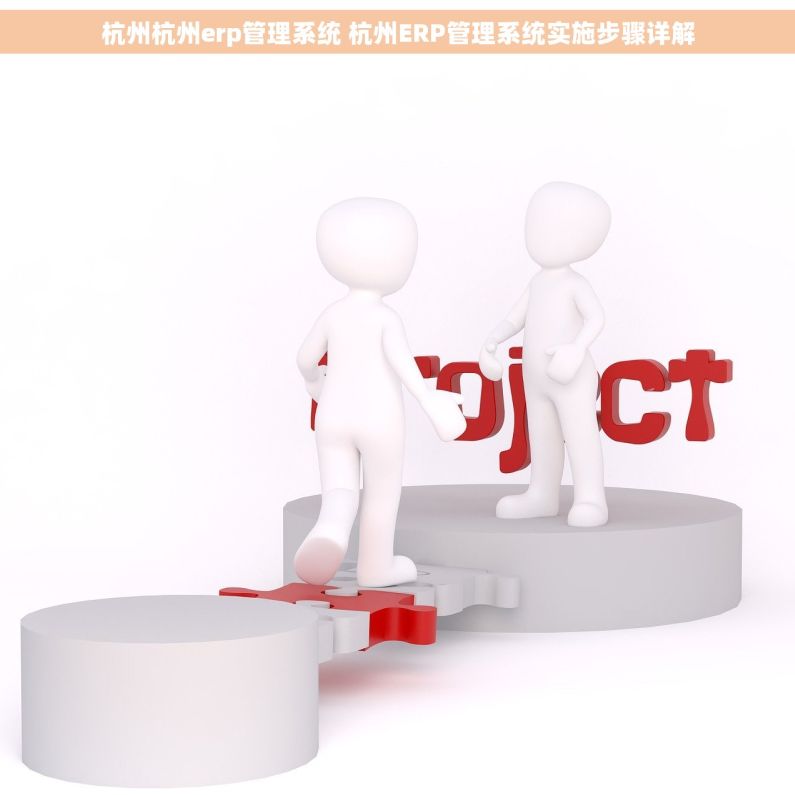 杭州杭州erp管理系统 杭州ERP管理系统实施步骤详解