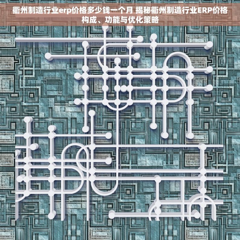衢州制造行业erp价格多少钱一个月 揭秘衢州制造行业ERP价格构成、功能与优化策略
