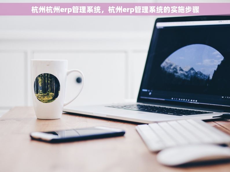 杭州杭州erp管理系统，杭州erp管理系统的实施步骤