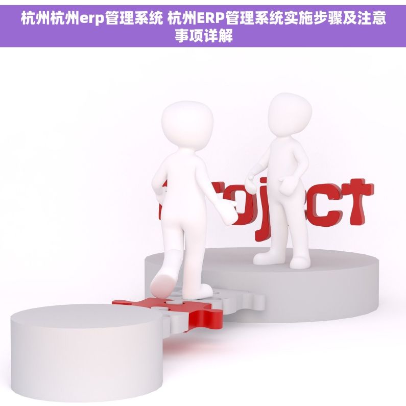 杭州杭州erp管理系统 杭州ERP管理系统实施步骤及注意事项详解