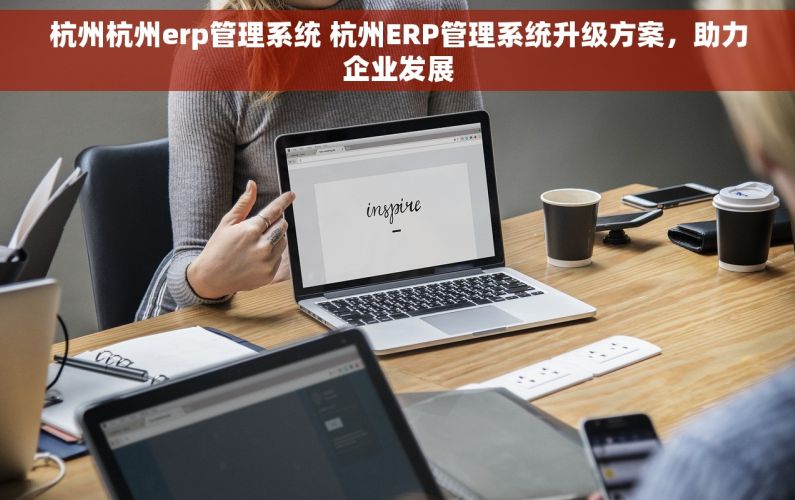 杭州杭州erp管理系统 杭州ERP管理系统升级方案，助力企业发展