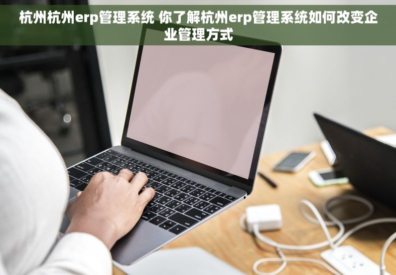 杭州杭州erp管理系统 你了解杭州erp管理系统如何改变企业管理方式