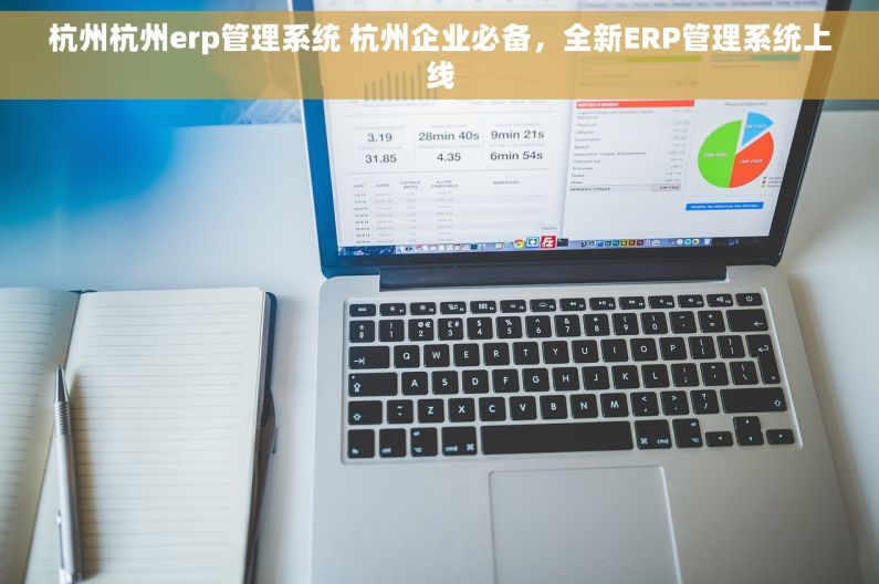 杭州杭州erp管理系统 杭州企业必备，全新ERP管理系统上线