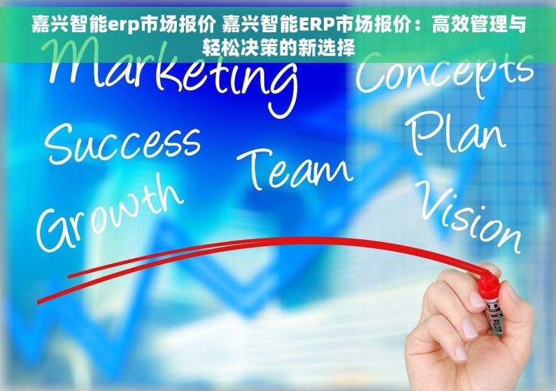 嘉兴智能erp市场报价 嘉兴智能ERP市场报价：高效管理与轻松决策的新选择