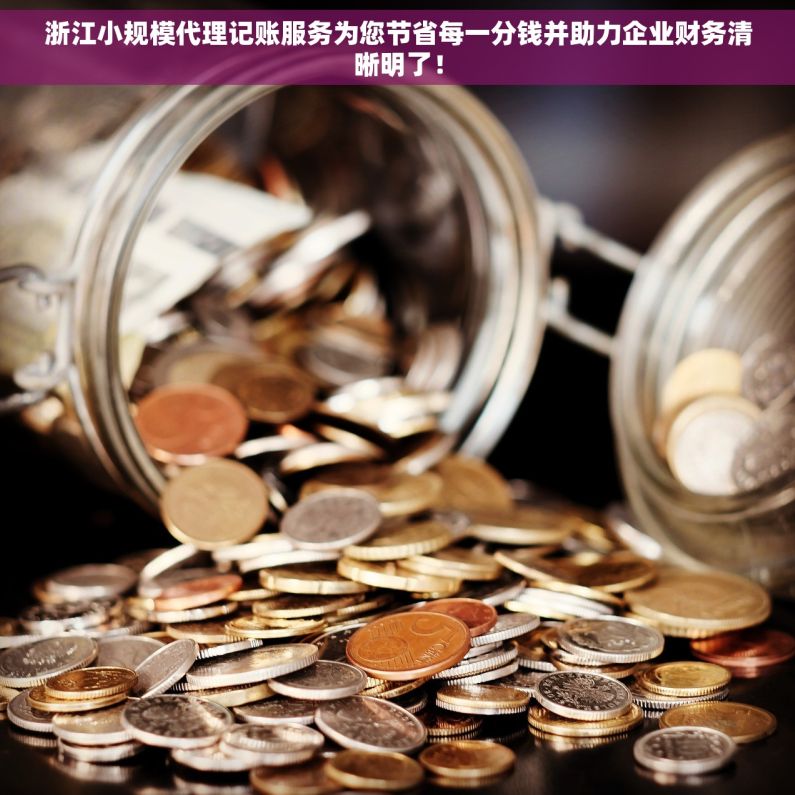 浙江小规模代理记账服务为您节省每一分钱并助力企业财务清晰明了！