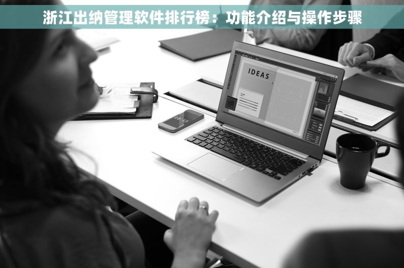 浙江出纳管理软件排行榜：功能介绍与操作步骤
