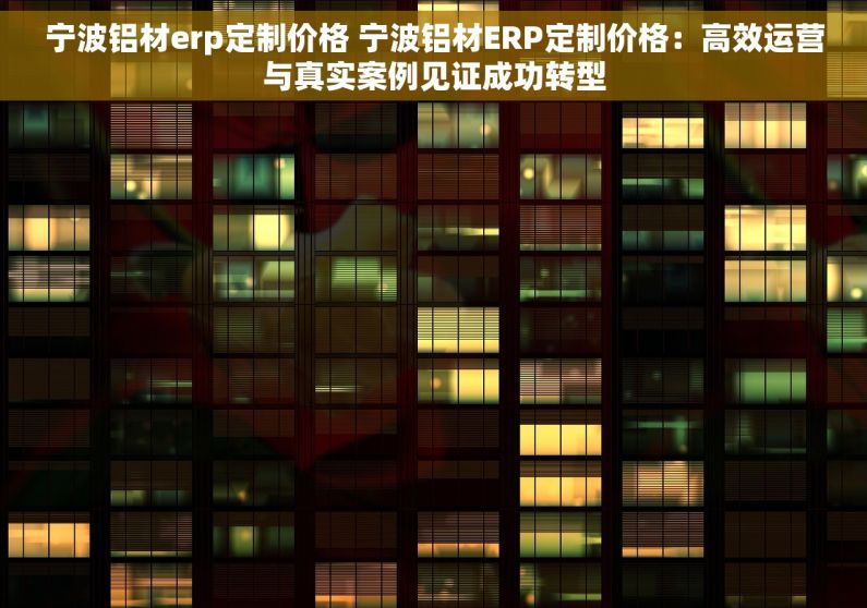 宁波铝材erp定制价格 宁波铝材ERP定制价格：高效运营与真实案例见证成功转型