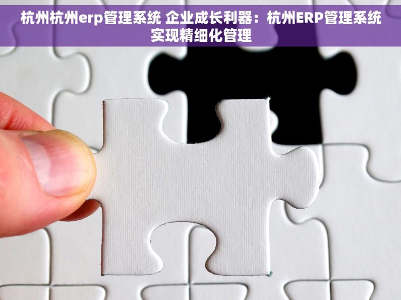 杭州杭州erp管理系统 企业成长利器：杭州ERP管理系统实现精细化管理