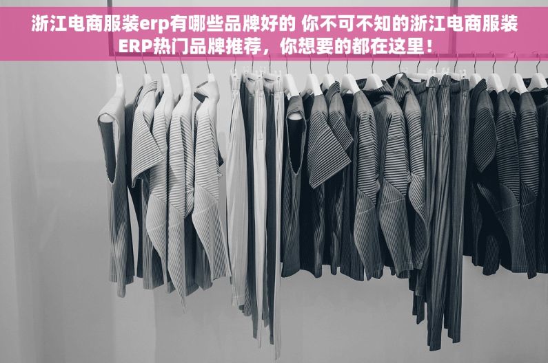 浙江电商服装erp有哪些品牌好的 你不可不知的浙江电商服装ERP热门品牌推荐，你想要的都在这里！