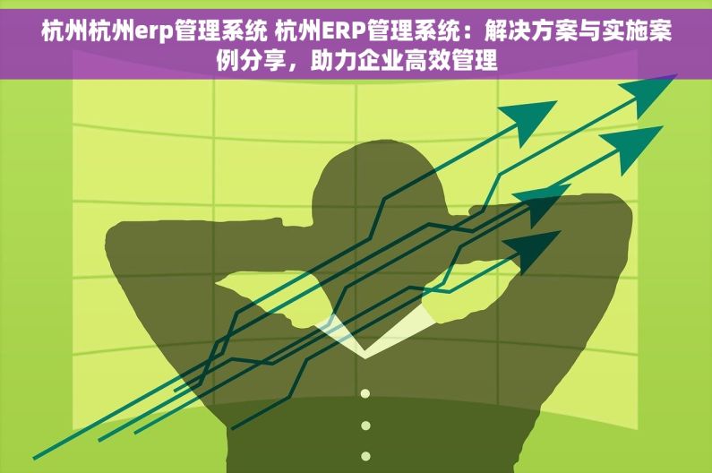 杭州杭州erp管理系统 杭州ERP管理系统：解决方案与实施案例分享，助力企业高效管理