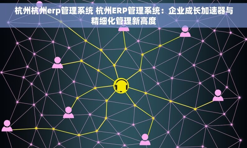 杭州杭州erp管理系统 杭州ERP管理系统：企业成长加速器与精细化管理新高度