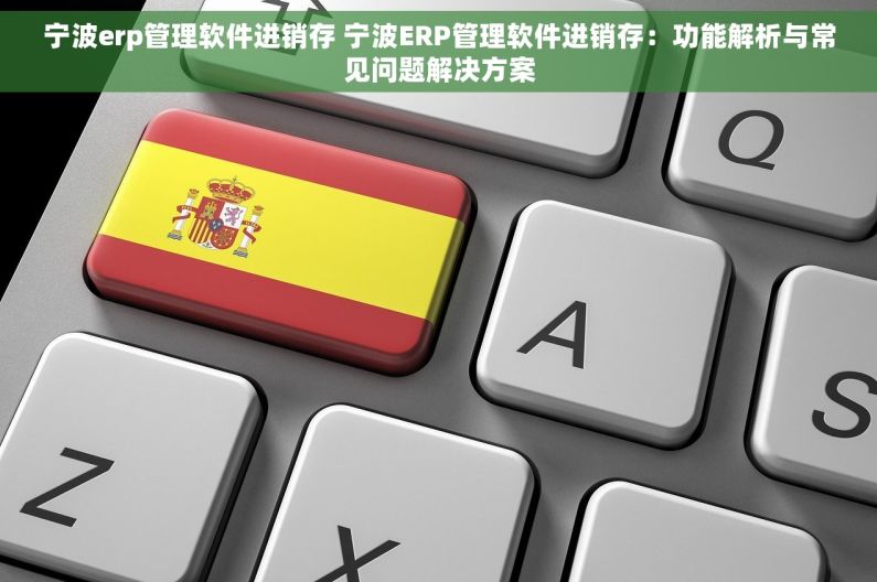 宁波erp管理软件进销存 宁波ERP管理软件进销存：功能解析与常见问题解决方案