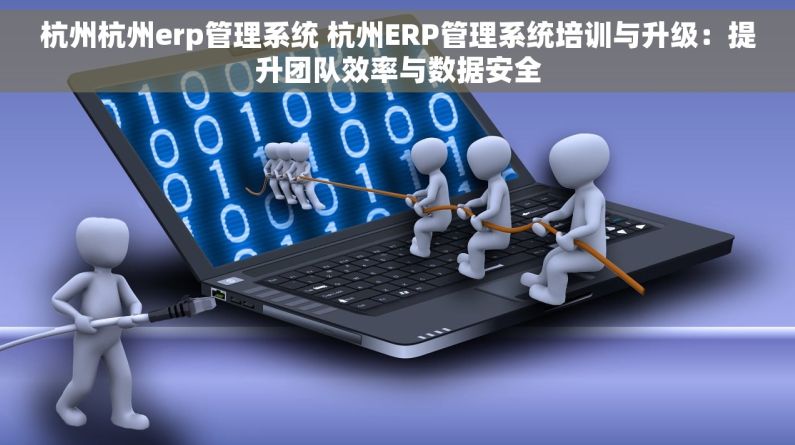 杭州杭州erp管理系统 杭州ERP管理系统培训与升级：提升团队效率与数据安全