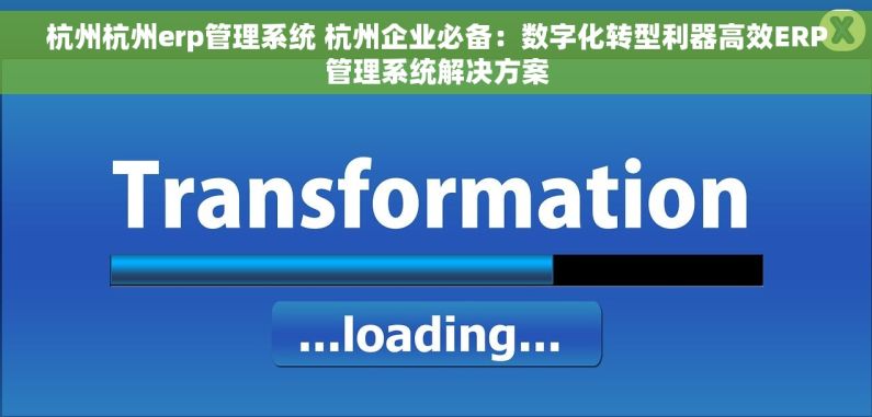 杭州杭州erp管理系统 杭州企业必备：数字化转型利器高效ERP管理系统解决方案
