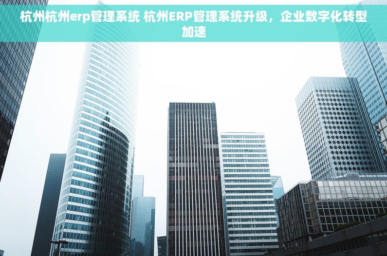 杭州杭州erp管理系统 杭州ERP管理系统升级，企业数字化转型加速