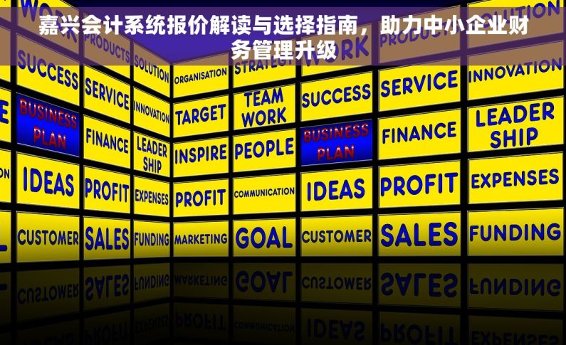 嘉兴会计系统报价解读与选择指南，助力中小企业财务管理升级