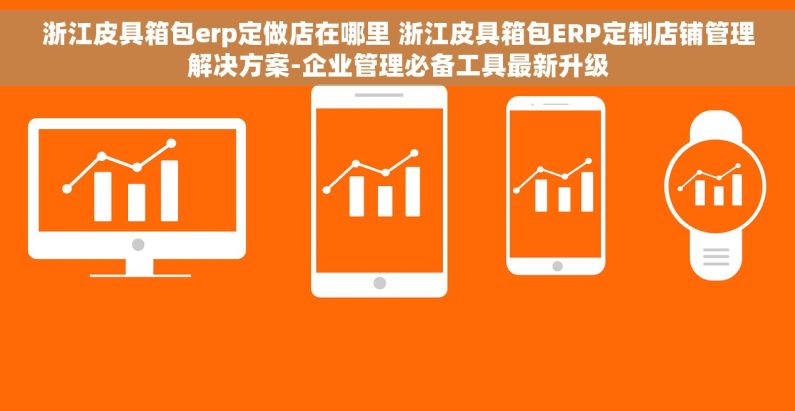 浙江皮具箱包erp定做店在哪里 浙江皮具箱包ERP定制店铺管理解决方案-企业管理必备工具最新升级