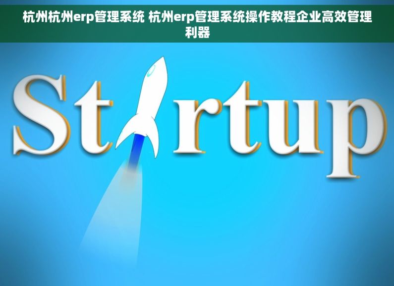 杭州杭州erp管理系统 杭州erp管理系统操作教程企业高效管理利器