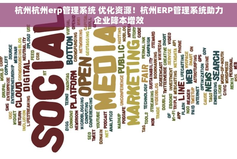 杭州杭州erp管理系统 优化资源！杭州ERP管理系统助力企业降本增效