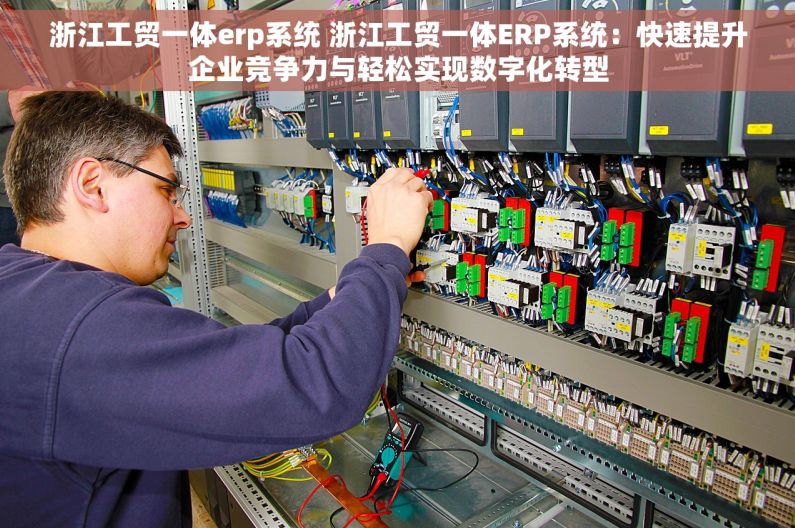 浙江工贸一体erp系统 浙江工贸一体ERP系统：快速提升企业竞争力与轻松实现数字化转型