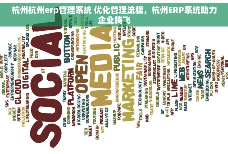 杭州杭州erp管理系统 优化管理流程，杭州ERP系统助力企业腾飞