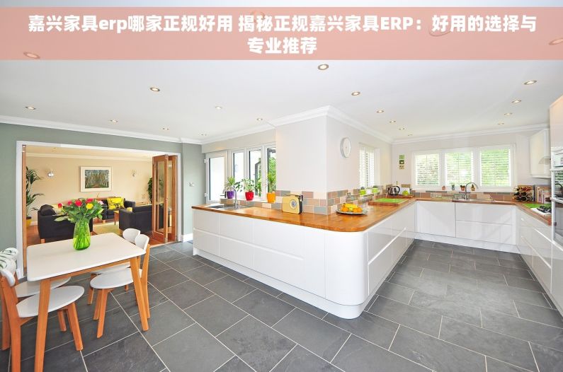 嘉兴家具erp哪家正规好用 揭秘正规嘉兴家具ERP：好用的选择与专业推荐