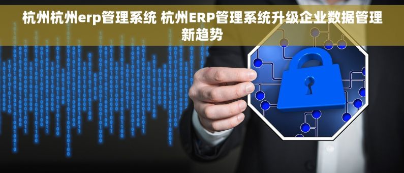 杭州杭州erp管理系统 杭州ERP管理系统升级企业数据管理新趋势
