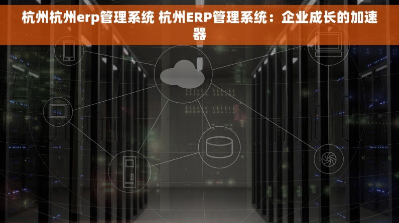 杭州杭州erp管理系统 杭州ERP管理系统：企业成长的加速器