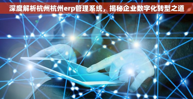 深度解析杭州杭州erp管理系统，揭秘企业数字化转型之道