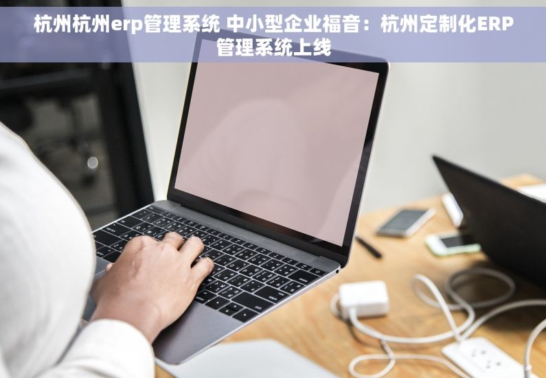 杭州杭州erp管理系统 中小型企业福音：杭州定制化ERP管理系统上线