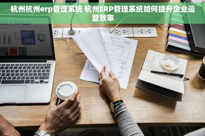 杭州杭州erp管理系统 杭州ERP管理系统如何提升企业运营效率