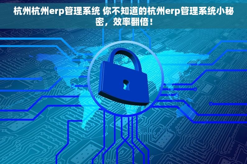 杭州杭州erp管理系统 你不知道的杭州erp管理系统小秘密，效率翻倍！