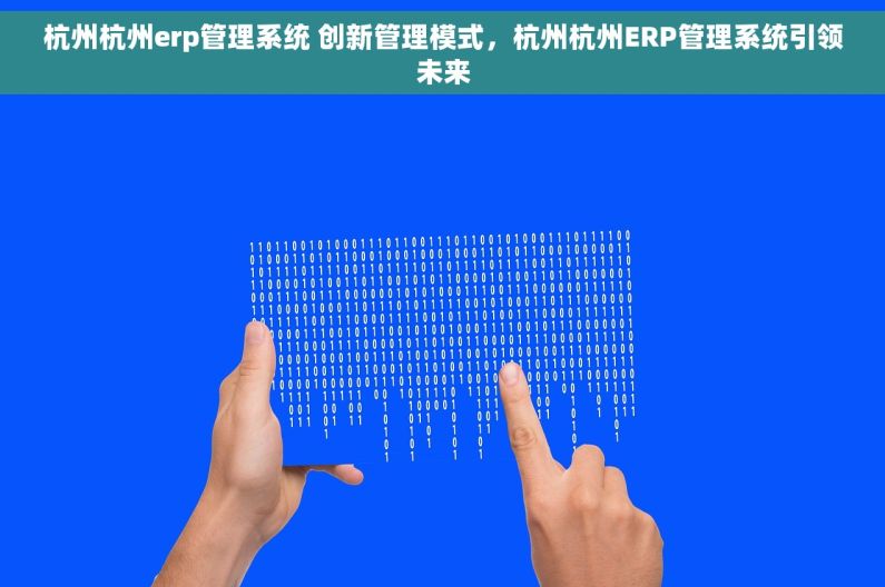 杭州杭州erp管理系统 创新管理模式，杭州杭州ERP管理系统引领未来