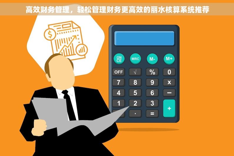 高效财务管理，轻松管理财务更高效的丽水核算系统推荐