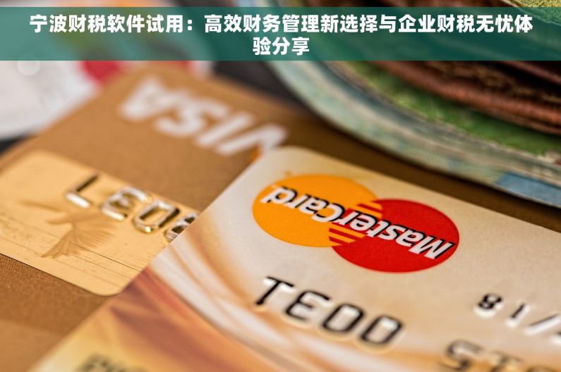 宁波财税软件试用：高效财务管理新选择与企业财税无忧体验分享