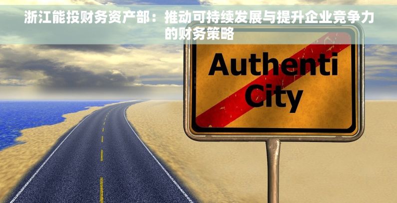 浙江能投财务资产部：推动可持续发展与提升企业竞争力的财务策略