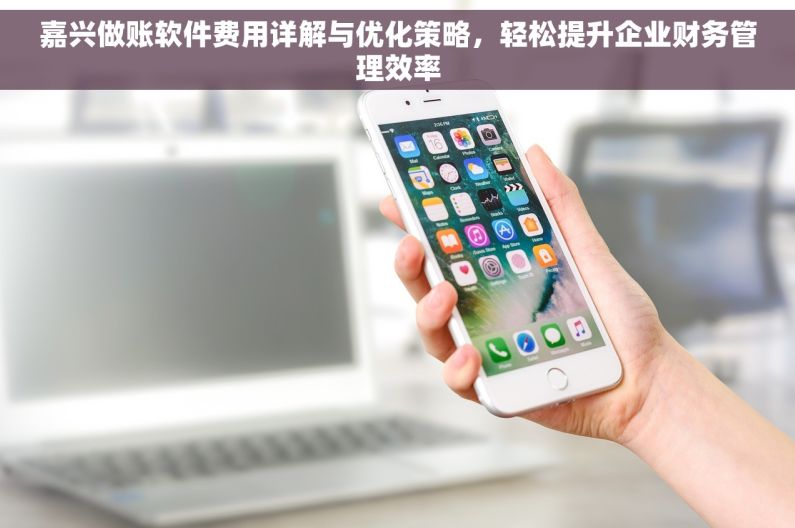 嘉兴做账软件费用详解与优化策略，轻松提升企业财务管理效率