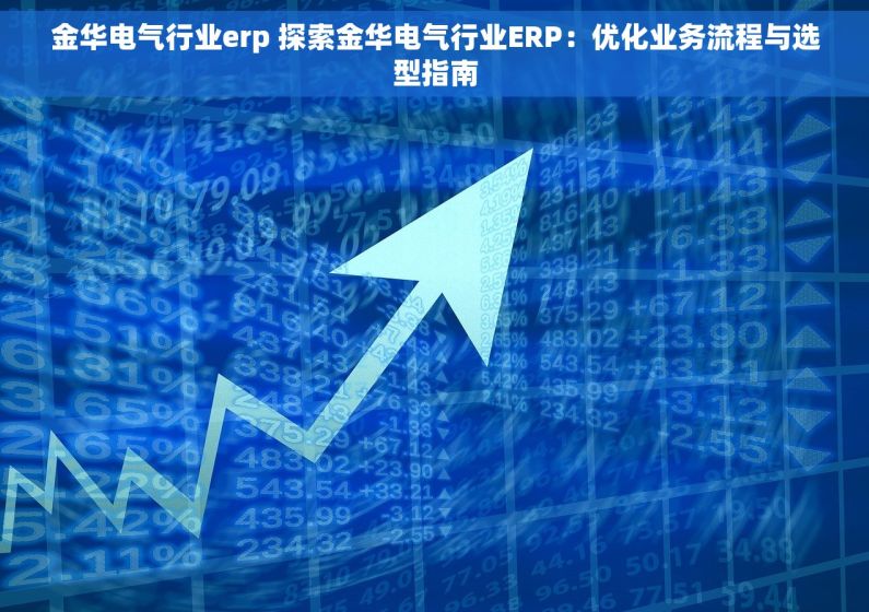 金华电气行业erp 探索金华电气行业ERP：优化业务流程与选型指南