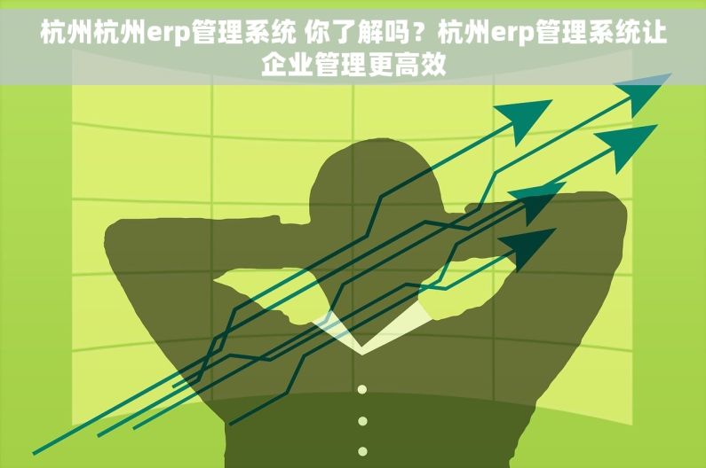 杭州杭州erp管理系统 你了解吗？杭州erp管理系统让企业管理更高效