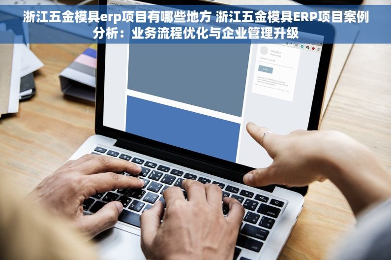 浙江五金模具erp项目有哪些地方 浙江五金模具ERP项目案例分析：业务流程优化与企业管理升级