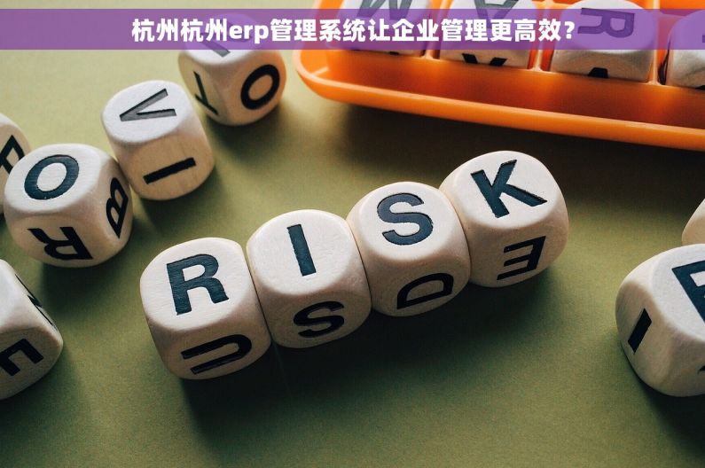 杭州杭州erp管理系统让企业管理更高效？