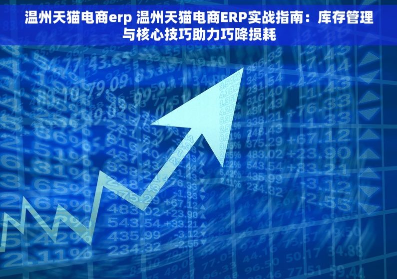 温州天猫电商erp 温州天猫电商ERP实战指南：库存管理与核心技巧助力巧降损耗
