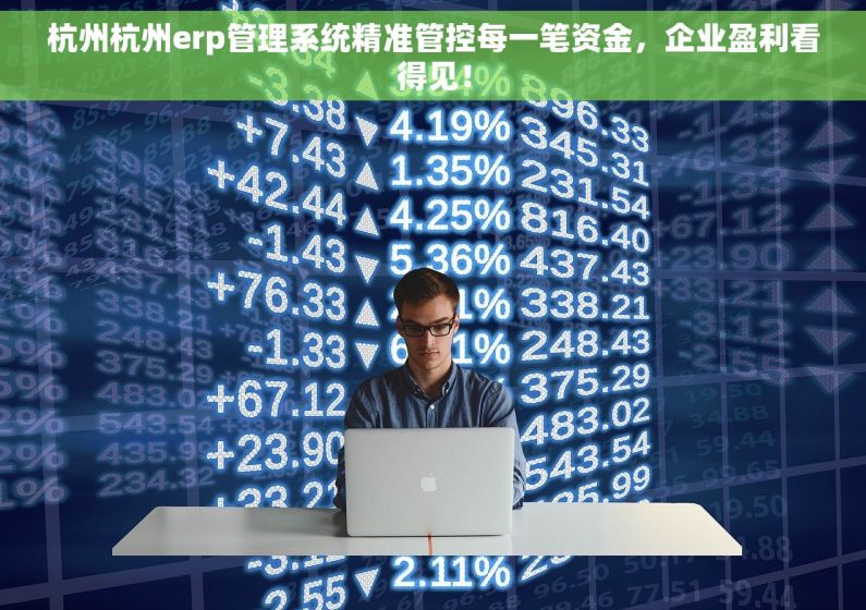 杭州杭州erp管理系统精准管控每一笔资金，企业盈利看得见！
