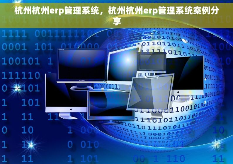 杭州杭州erp管理系统，杭州杭州erp管理系统案例分享